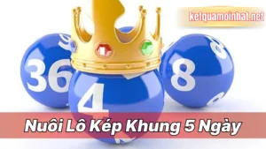Vì sao khung 5 ngày được đánh giá là tối ưu
