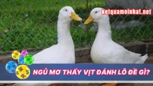 Giải Mã Chi Tiết Các Trường Hợp Mơ Thấy Vịt